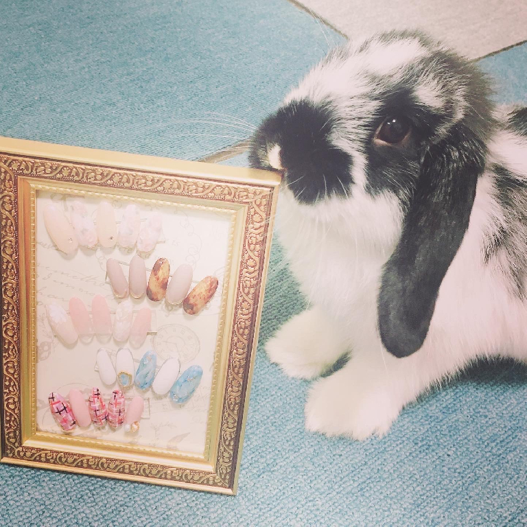 ちびうさぎのネイルスクールのメイン画像